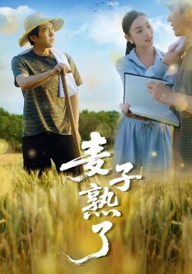 歐美乳在線看