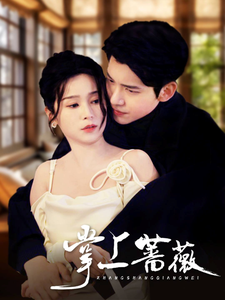 國產(chǎn)功放j精品