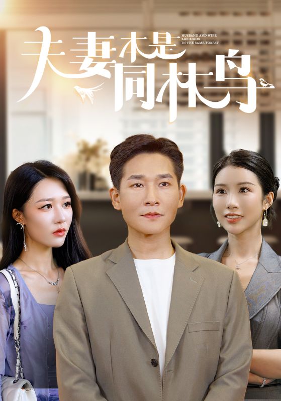 亚洲精品无码mv在线观看0