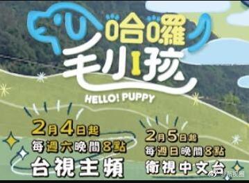 哈啰<div   id=