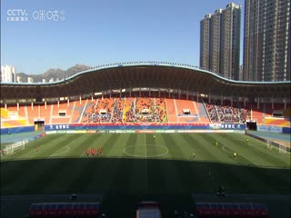 宅男网宅男视频