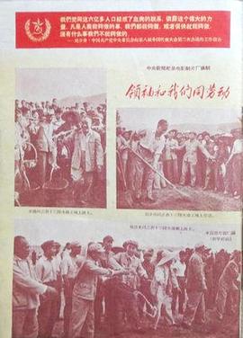 人妻不伦在线