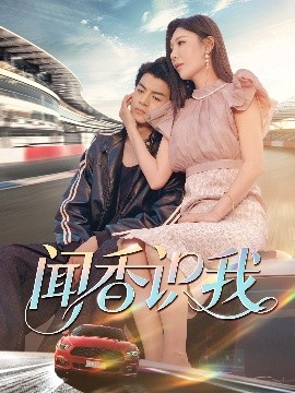 一本岛无码不卡免费视频